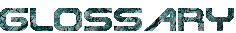 GLOSSARY